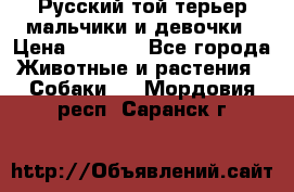 Русский той-терьер мальчики и девочки › Цена ­ 8 000 - Все города Животные и растения » Собаки   . Мордовия респ.,Саранск г.